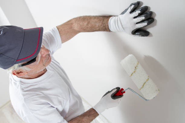 Best Mold-Related Health Consultation  in Rochester, IN