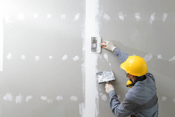 Best Asbestos and Lead Testing During Mold Inspection  in Rochester, IN
