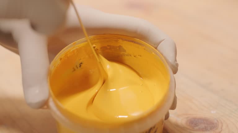  Rochester, IN Mold Removal Pros