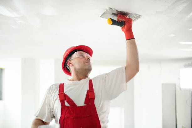 Mold Odor Removal Services in Rochester, IN