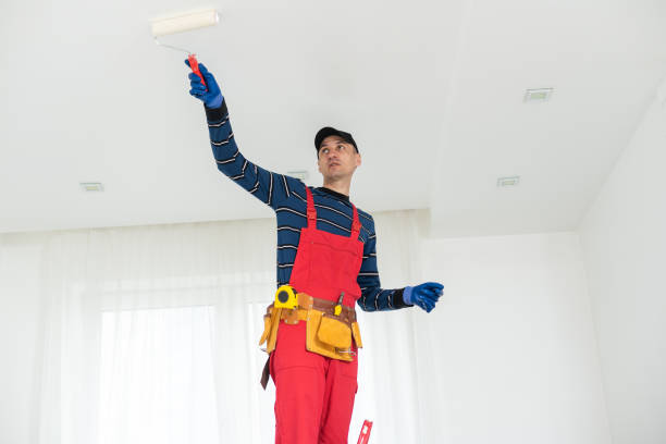 Best Post-Construction Mold Inspection  in Rochester, IN