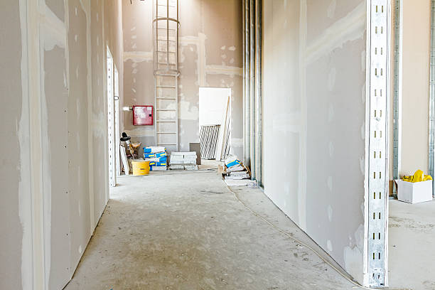 Best Attic Mold Removal  in Rochester, IN
