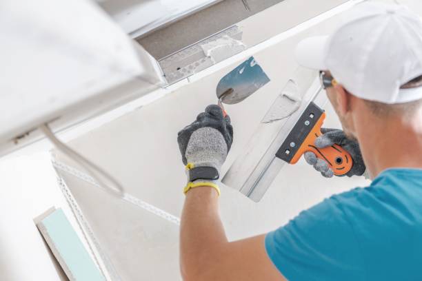 Best Mold Damage Restoration  in Rochester, IN